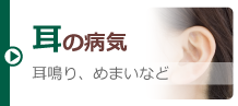 耳の病気 耳鳴り、めまいなど
