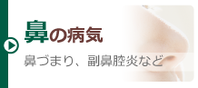 鼻の病気 鼻づまり、副鼻腔炎など